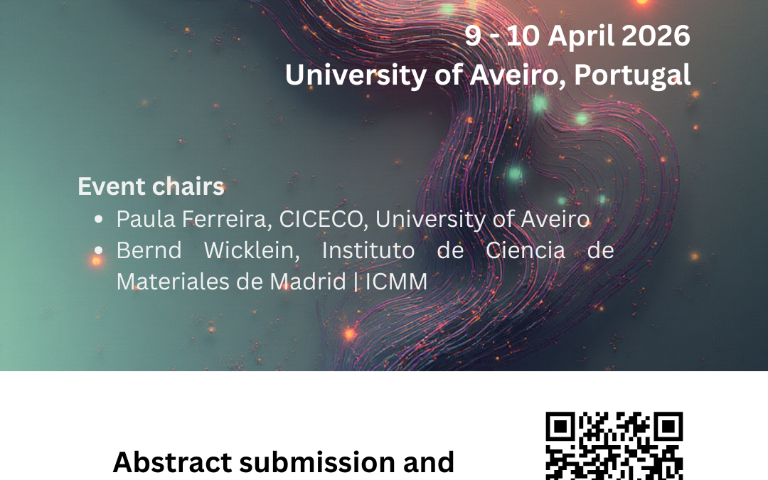 REFLEX Workshop – REsponsive Polymer Systems for Next-Generation FLEXible Electronics